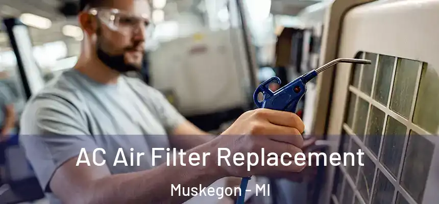  AC Air Filter Replacement Muskegon - MI