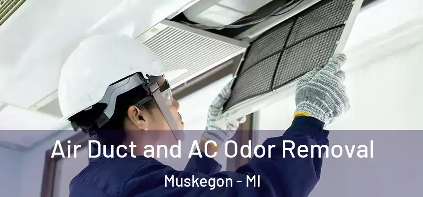  Air Duct and AC Odor Removal Muskegon - MI