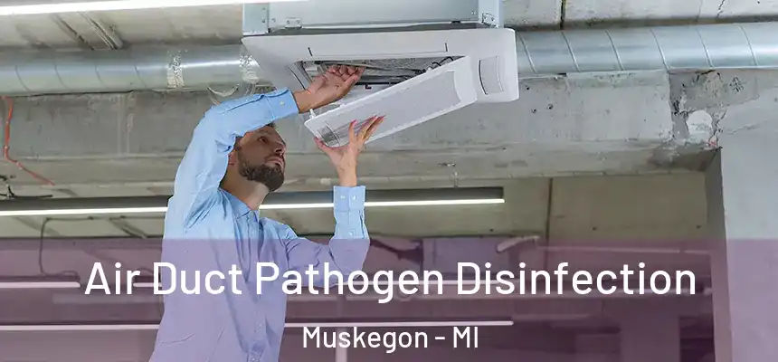 Air Duct Pathogen Disinfection Muskegon - MI