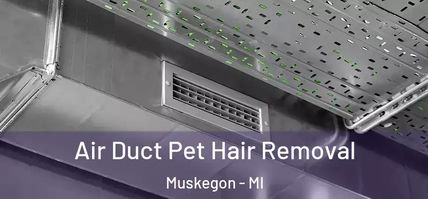 Air Duct Pet Hair Removal Muskegon - MI