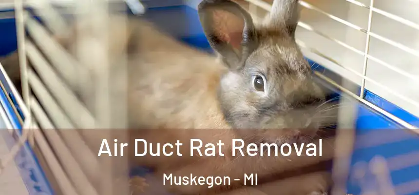 Air Duct Rat Removal Muskegon - MI