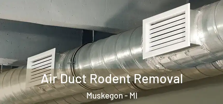  Air Duct Rodent Removal Muskegon - MI