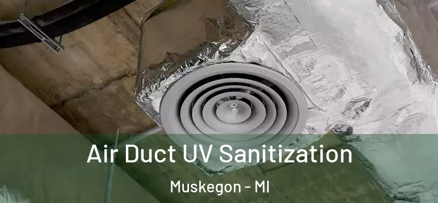  Air Duct UV Sanitization Muskegon - MI