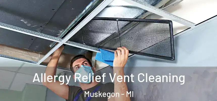 Allergy Relief Vent Cleaning Muskegon - MI