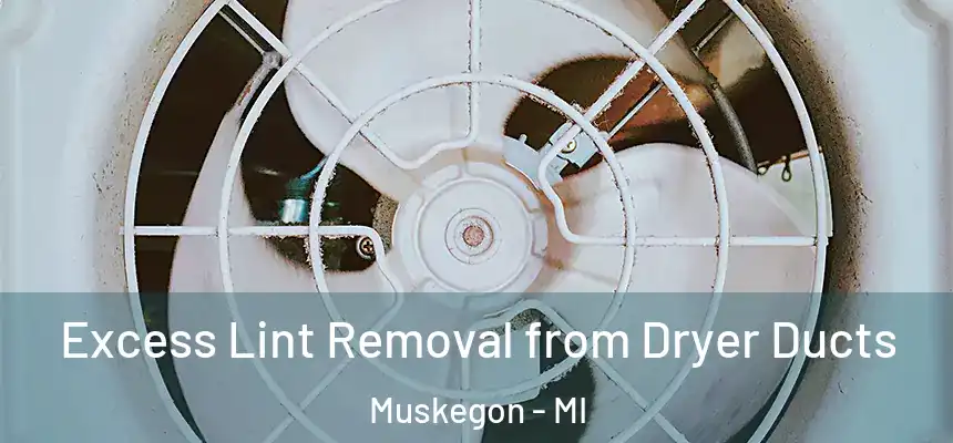  Excess Lint Removal from Dryer Ducts Muskegon - MI
