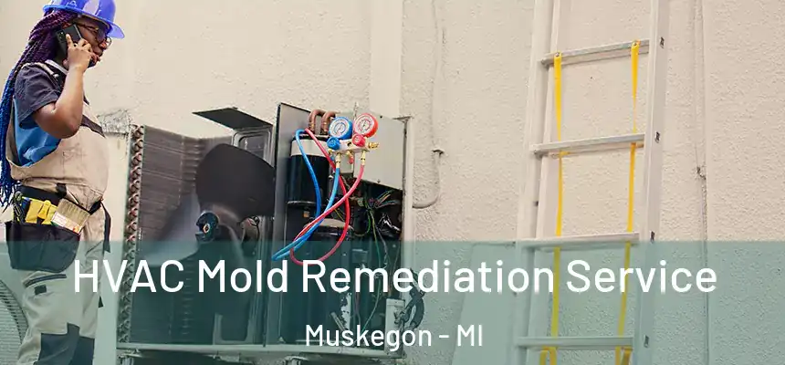HVAC Mold Remediation Service Muskegon - MI