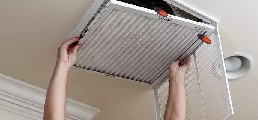 Preventive Cockroach-Proofing for Ducts in Muskegon