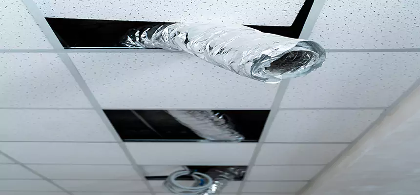 Our Air Duct Pet Hair Removal Services in Muskegon, MI