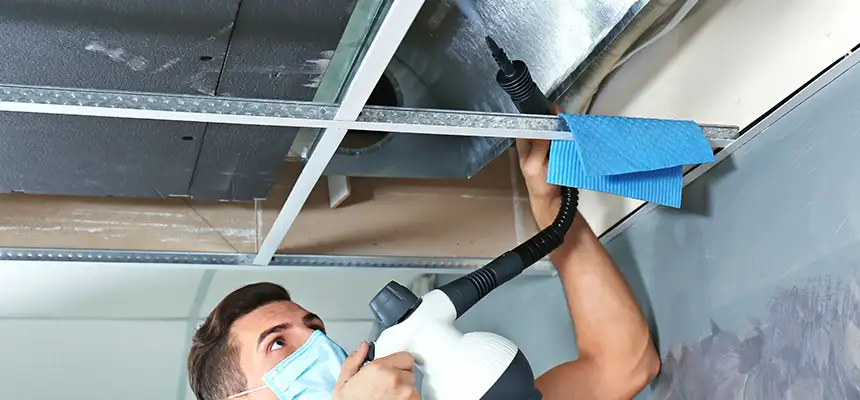 Our Air Duct Rodent Removal Services in Muskegon, MI