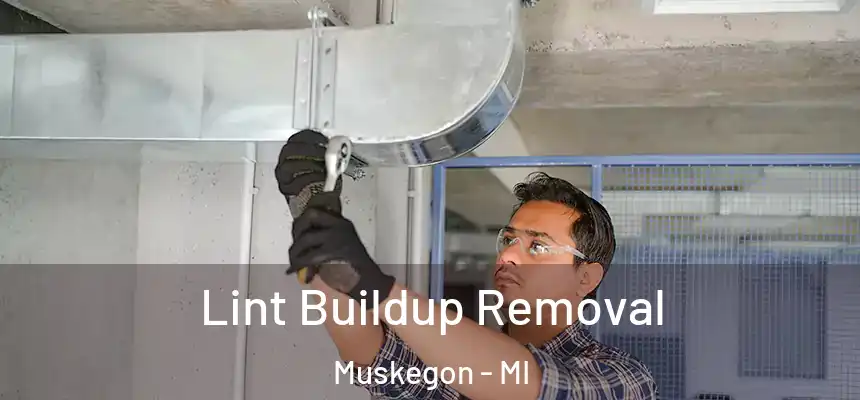  Lint Buildup Removal Muskegon - MI