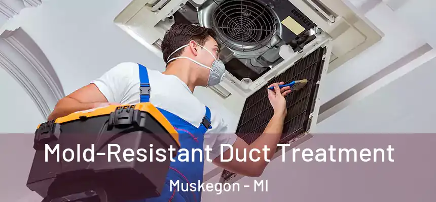 Mold-Resistant Duct Treatment Muskegon - MI
