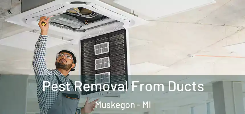 Pest Removal From Ducts Muskegon - MI