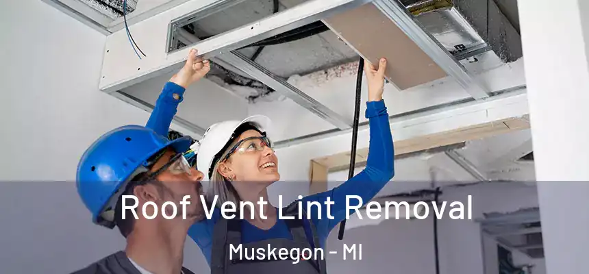 Roof Vent Lint Removal Muskegon - MI