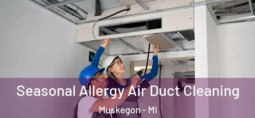 Seasonal Allergy Air Duct Cleaning Muskegon - MI