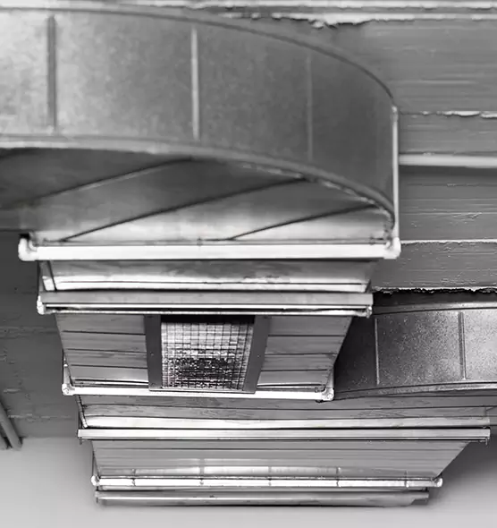 Professional Air Duct Pest Removal in Muskegon, MI