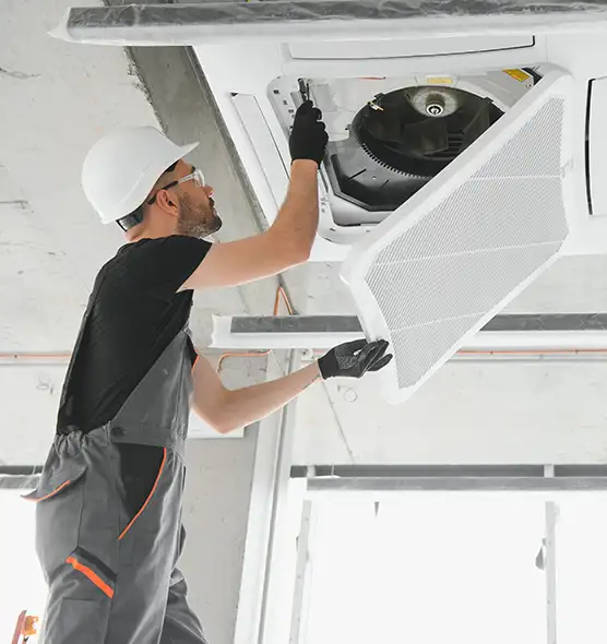 About Air Duct Rodent Removal in Muskegon, MI