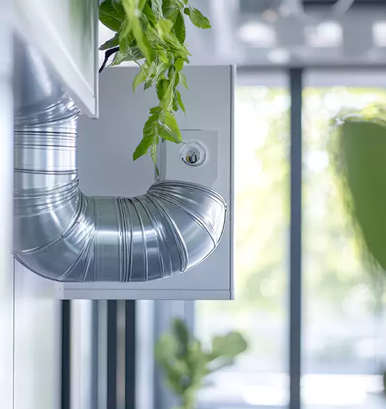 Professional Eco-Safe Dryer Vent Cleaning in Muskegon, MI