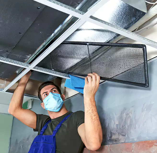 Why Homeowners Businesses Trust Us in Muskegon, MI