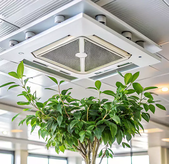 Why Homeowners & Businesses Trust Us in Muskegon, MI?