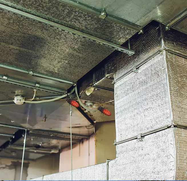 Why Homeowners & Businesses Trust Us Muskegon, MI?