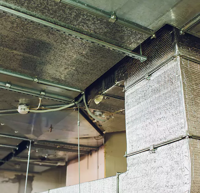 Why Homeowners & Businesses Trust Us in Muskegon, MI?