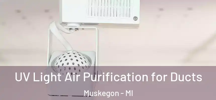 UV Light Air Purification for Ducts Muskegon - MI